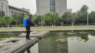 水生植物睡莲，荷花，喷药防病虫...